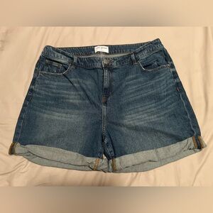 Lane Bryant Blue Jean Shorts Classic Denim Style